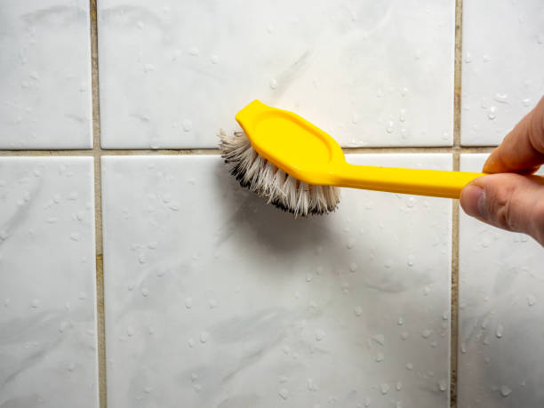 Best Mold Remediation  in Moon Lake, FL